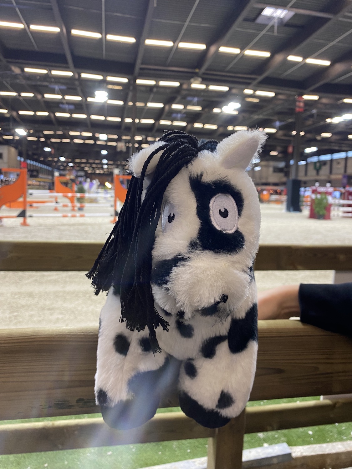 cavalettimag_ponies_1