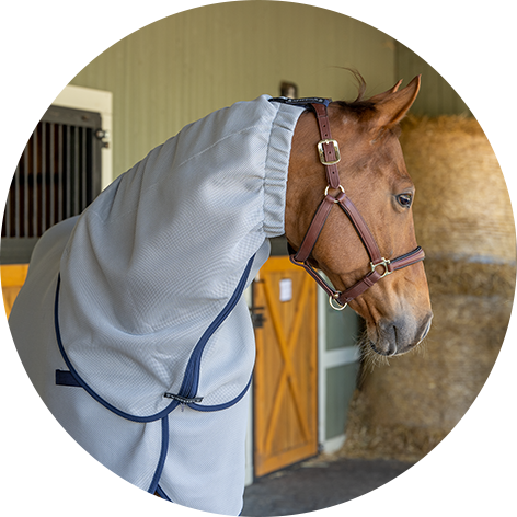 20362_05-winderen-fly-horse-rugs