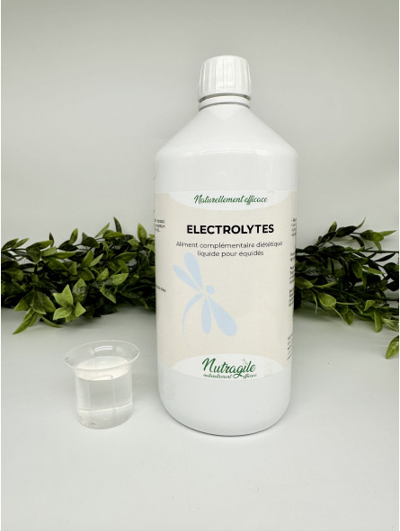 electrolytes-liquide