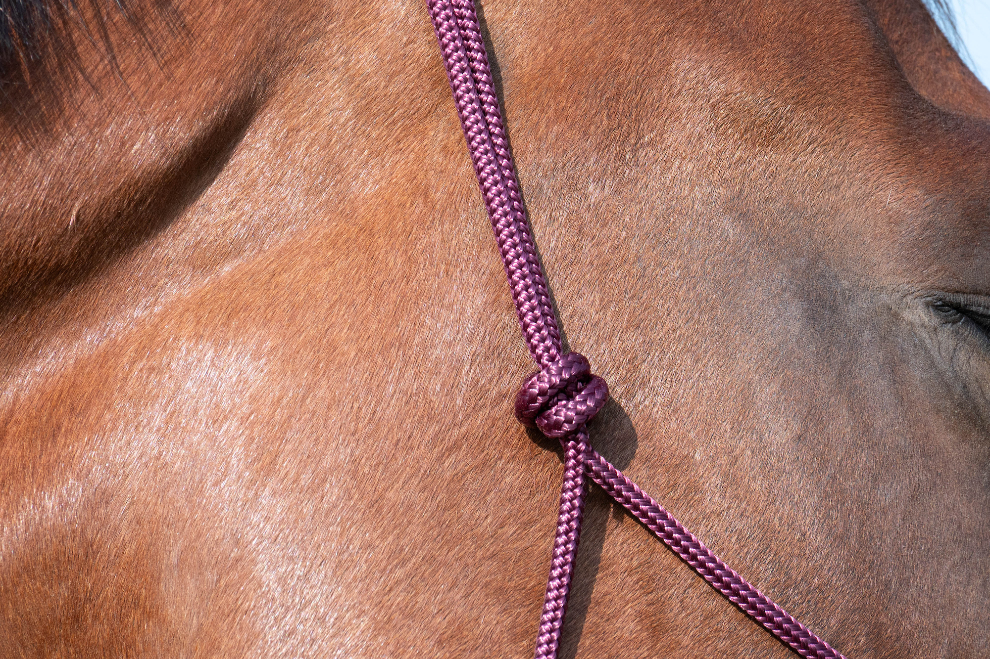 cavalettimag_testproduit_licol_graciecreation_06