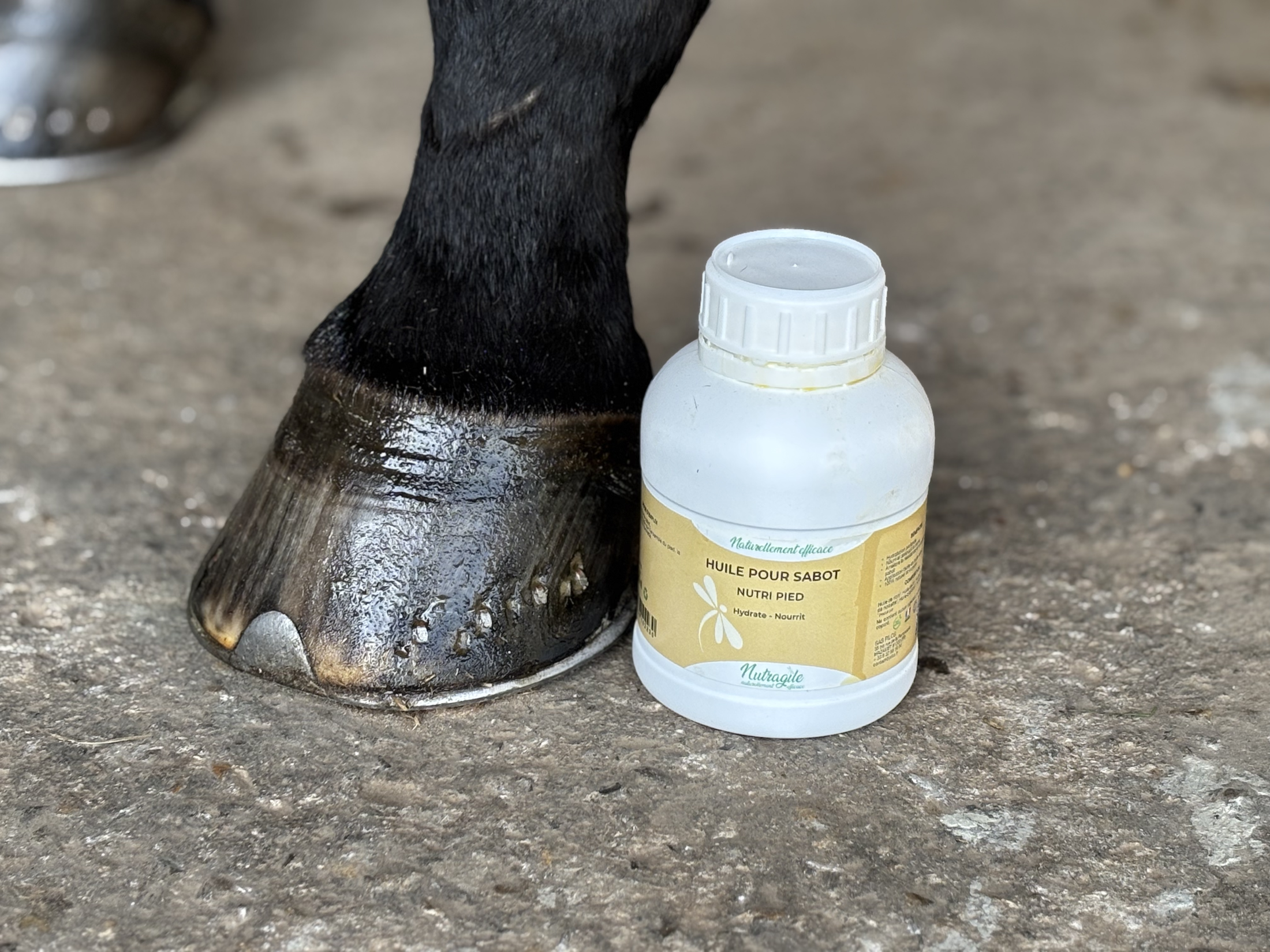 cavalettimag_testproduit_nutragile_nutripied_15