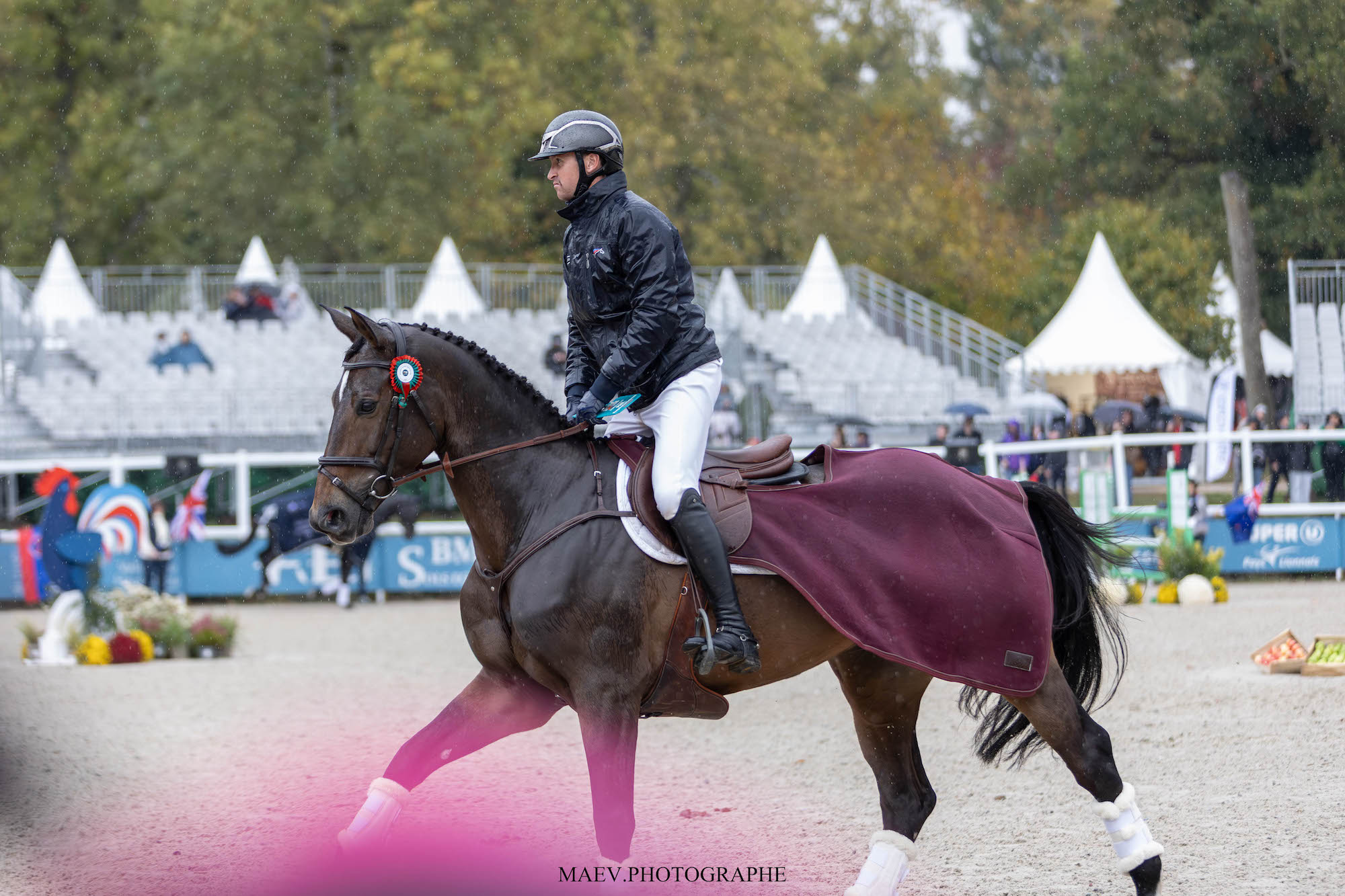 tom et etoile