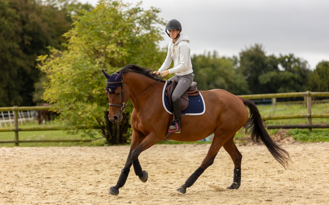 J’ai testé : Le bridon d’entraînement Fouilhoux