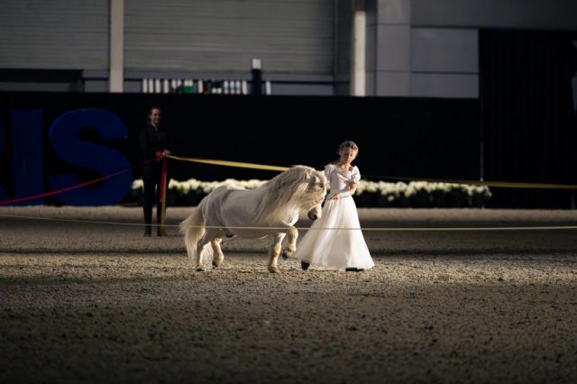 Fille Alizée Froment