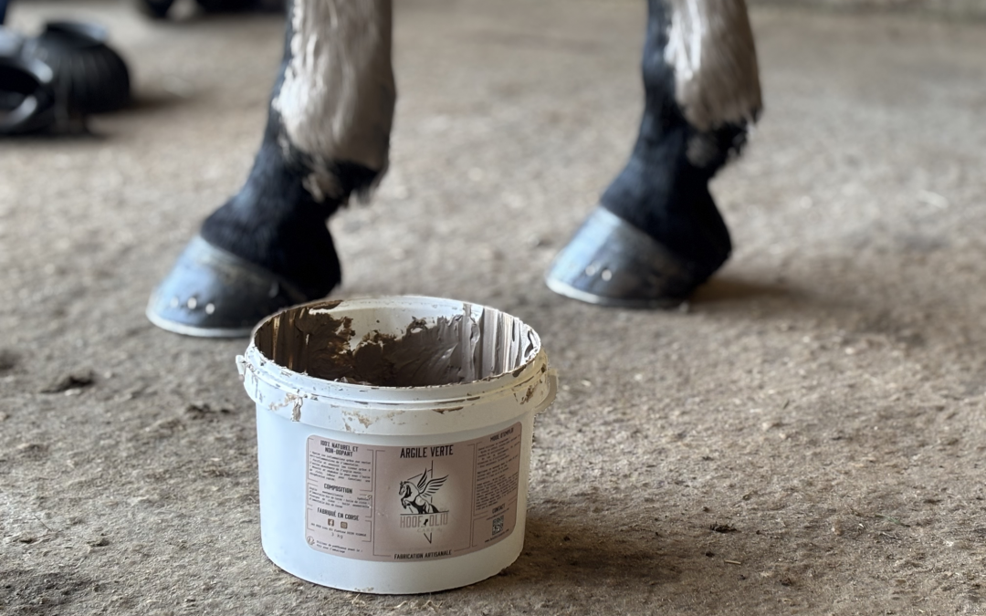 J’ai testé : l’argile verte de Hoof Oliu Care