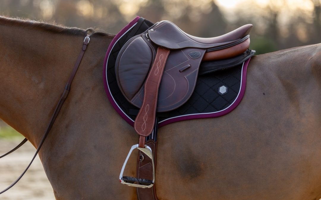 J’ai testé : le tapis en mesh de Pro-Confort